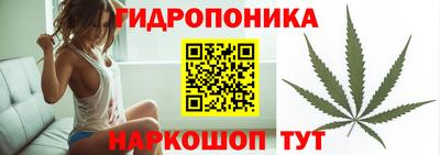 винт Будённовск