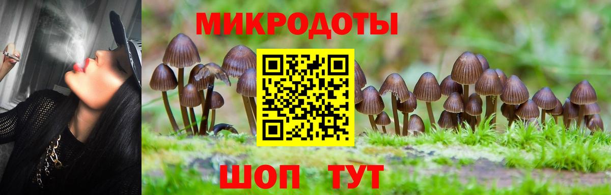 Псилоцибиновые грибы ЛСД Сертолово